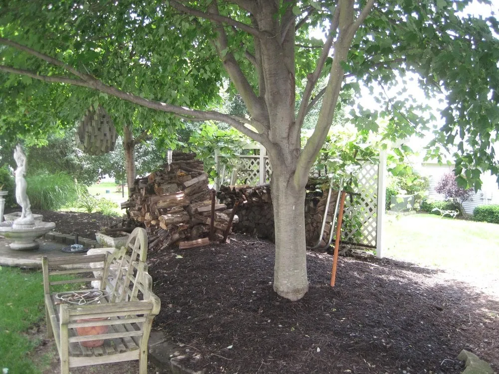 Top-rated landscape installation in St Charles, MO - Greenside Lawncare