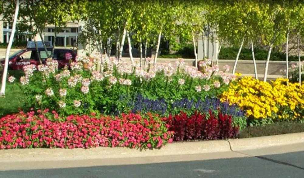 Professional residential landscaping in Savage, MN - Greenside