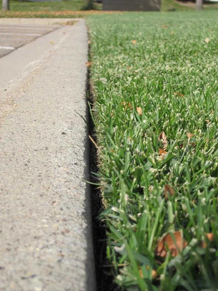 Local yard cleanup service for homes in Savage, MN by Greenside