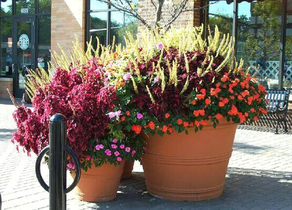 Trusted landscape installation in Savage, MN - Greenside