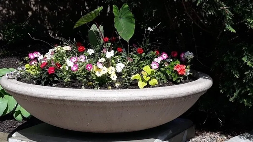 Custom landscape design for outdoor upgrades across Savage, MN - Greenside