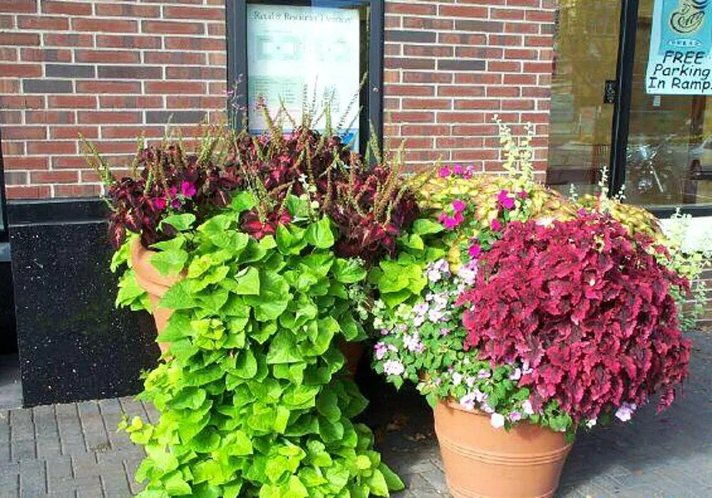 Professional outdoor landscaping for outdoor upgrades across Savage, MN - Greenside