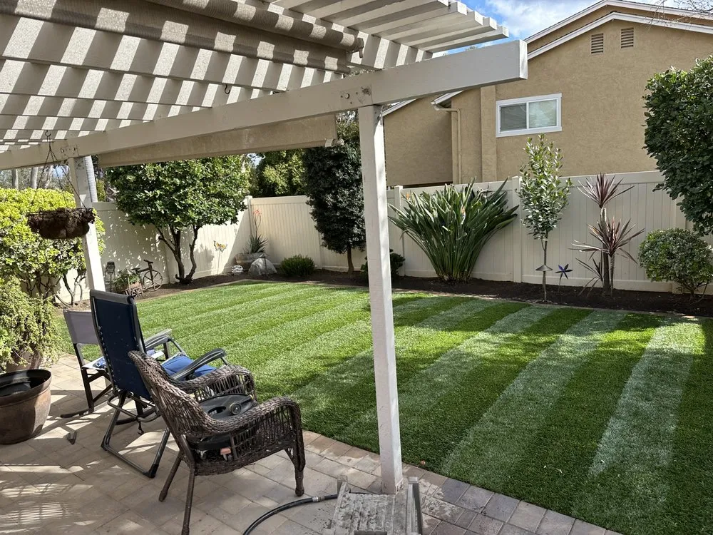 Professional yard cleanup service in Escondido, CA - Greensight Landscape