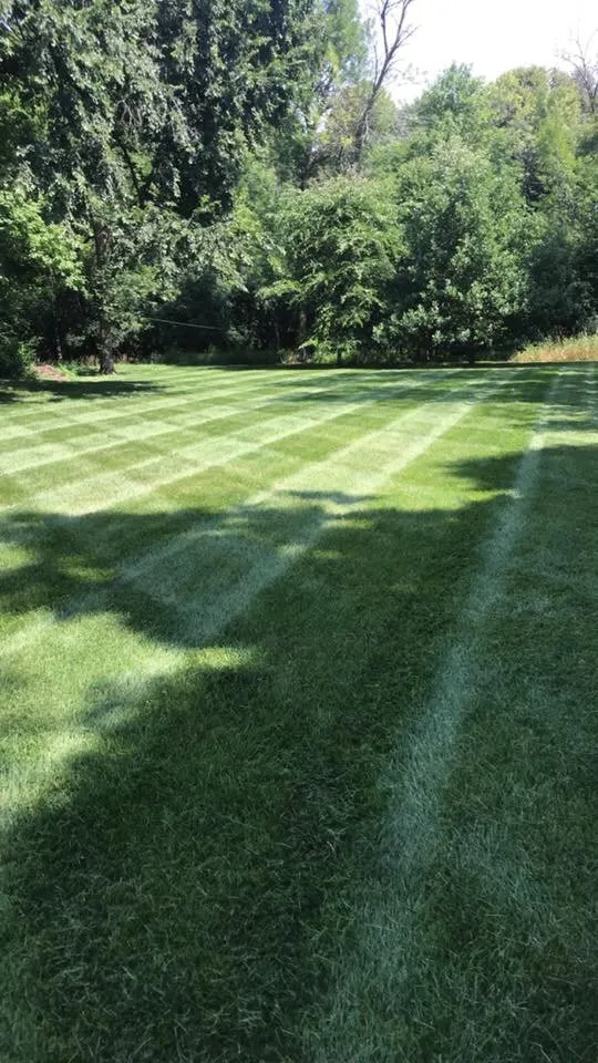 Reliable residential landscaping for residential properties across Waukesha, WI - Greensite Lawn Care