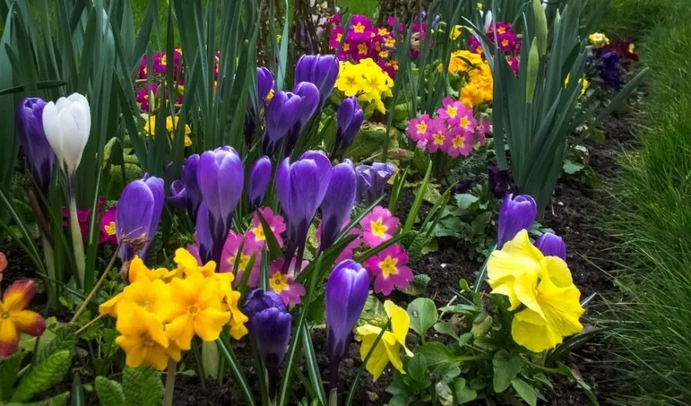 Reliable lawn mowing service near you in Endicott, NY by Greenskeeper Landscaping & Turf Care