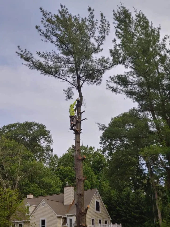 Top-rated landscaping services in Fulton, MD - Greenskeeper Landscaping