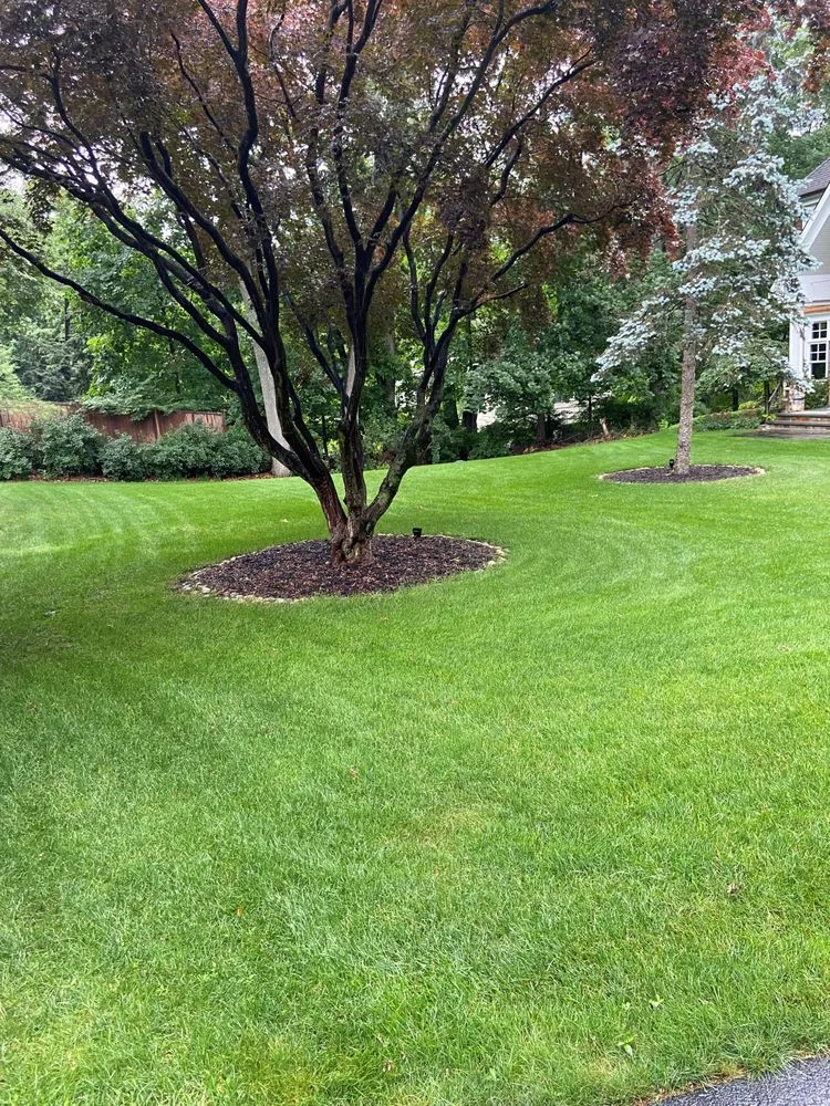 Local lawn care service in Bridgeport, CT by Greenskeeper Lawn Care