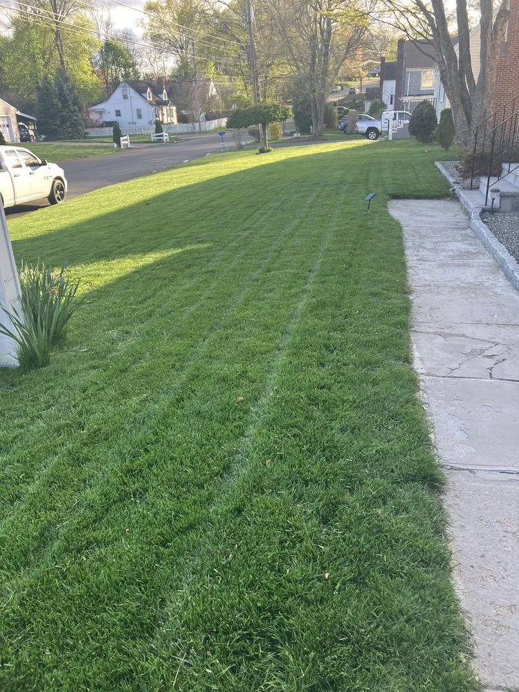 Affordable yard cleanup service in Bridgeport, CT by Greenskeeper Lawn Care