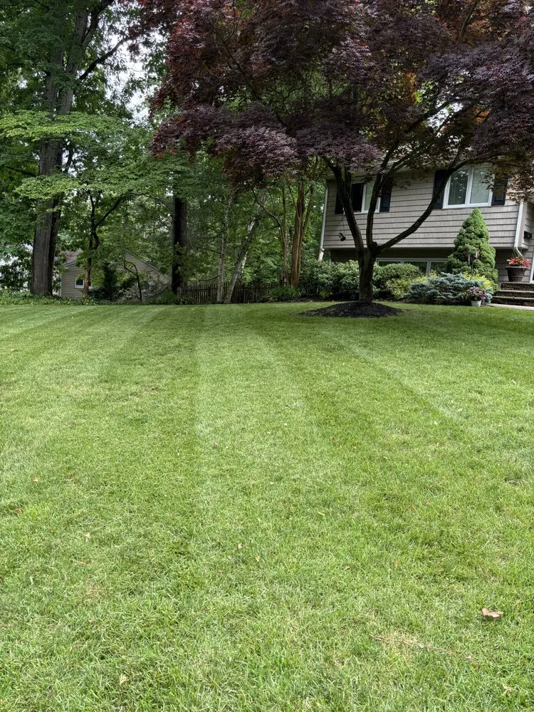 Professional landscaping services for residential properties across Red Bank, NJ - Greenskeepers Lawn Care