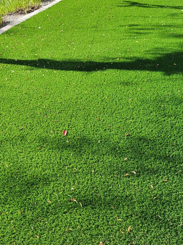 Trusted residential landscaping with custom design in Winchester, CA by GreenSky Construction