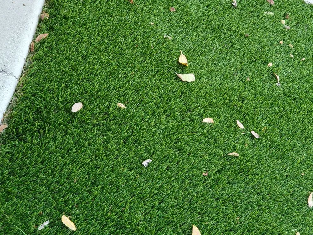 Trusted lawn mowing service experts serving Winchester, CA - GreenSky Construction