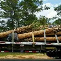 Reliable landscaping services in Gulf Breeze, FL by Greensmith Land Management