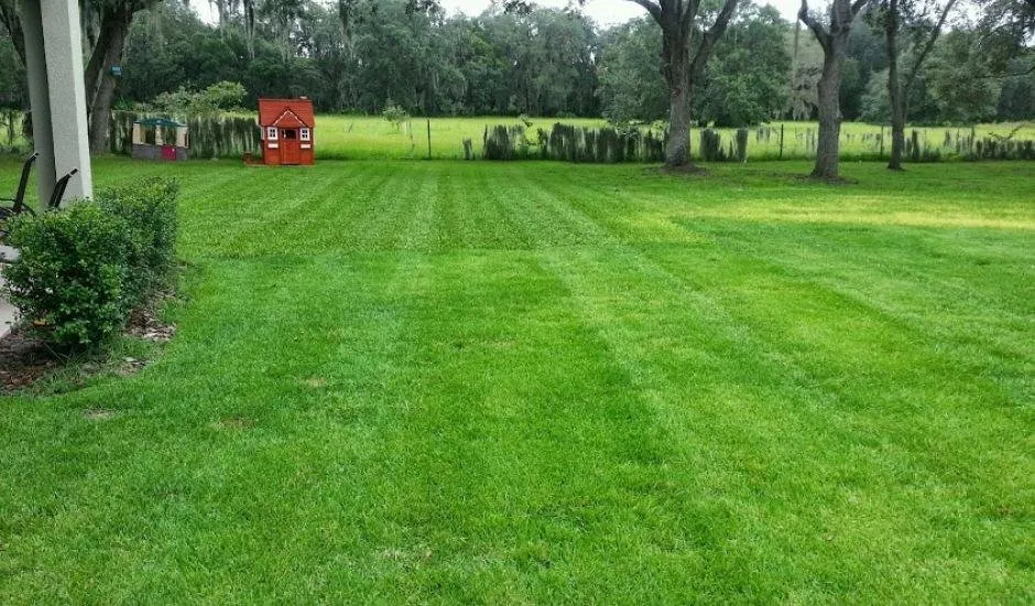 Top-rated landscaping services in Tampa Bay, FL by Greensmith Lawn Care