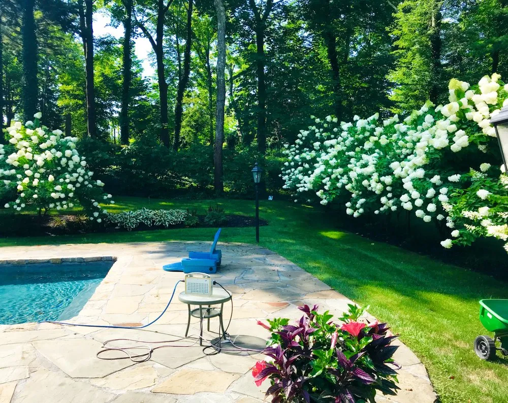 Affordable landscaping services for outdoor upgrades in Syosset, NY by Greensnap