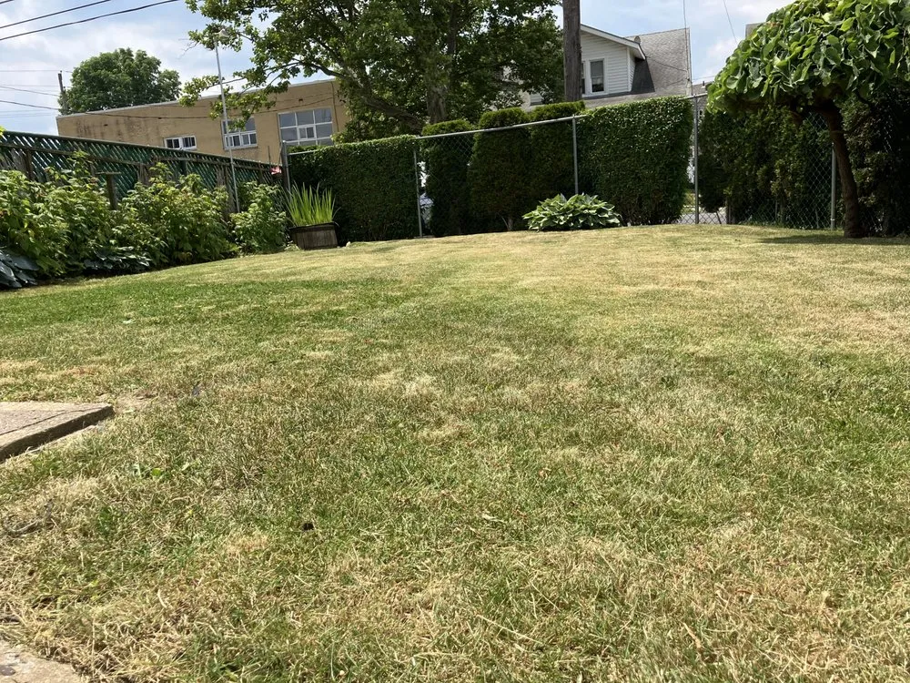 Local lawn mowing service in Philadelphia, PA by Greensnip Lawn Care