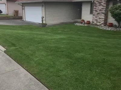 Professional yard cleanup service for beautiful yards in Weslaco, TX by Greensolutions Landscaping