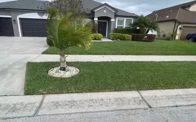 Expert garden landscaping for homes in Weslaco, TX by Greensolutions Landscaping