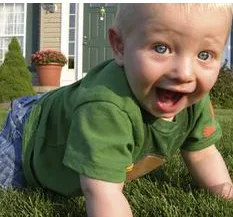 Expert landscaping services experts serving Mill Valley, CA - GreenSpace Grass