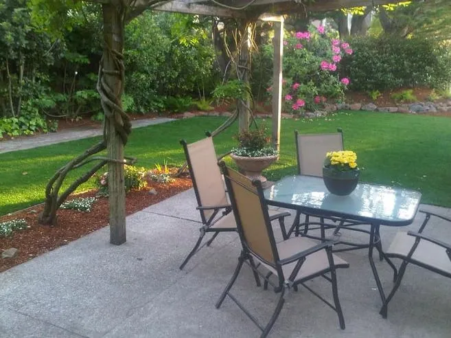 Affordable lawn mowing service experts serving Mill Valley, CA - GreenSpace Grass