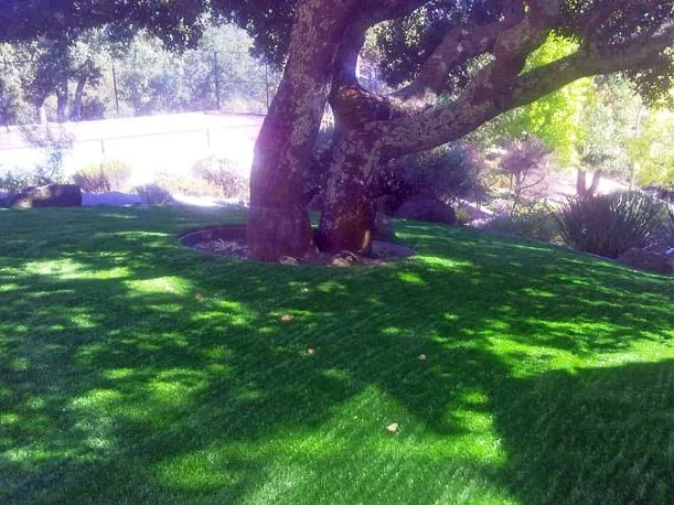 Top-rated residential landscaping in Mill Valley, CA - GreenSpace Grass