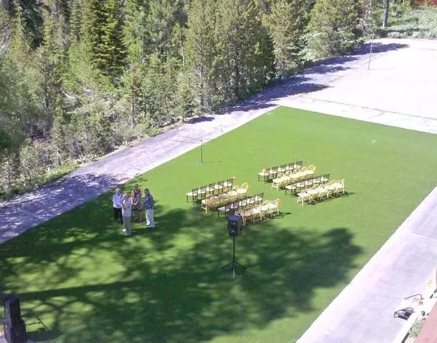 Professional residential landscaping for beautiful yards across Mill Valley, CA - GreenSpace Grass