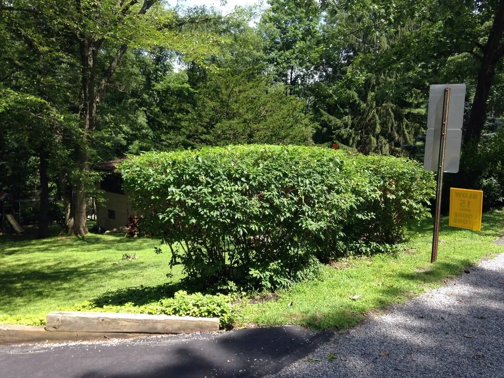 Professional garden landscaping experts serving Wharton, NJ - GreenSpace Landscaping, LLC