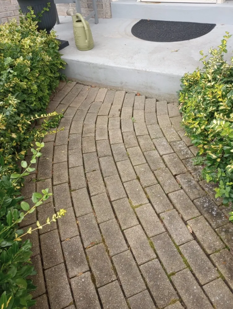 Expert outdoor landscaping with custom design across Waukesha, WI - Greenspace landscaping