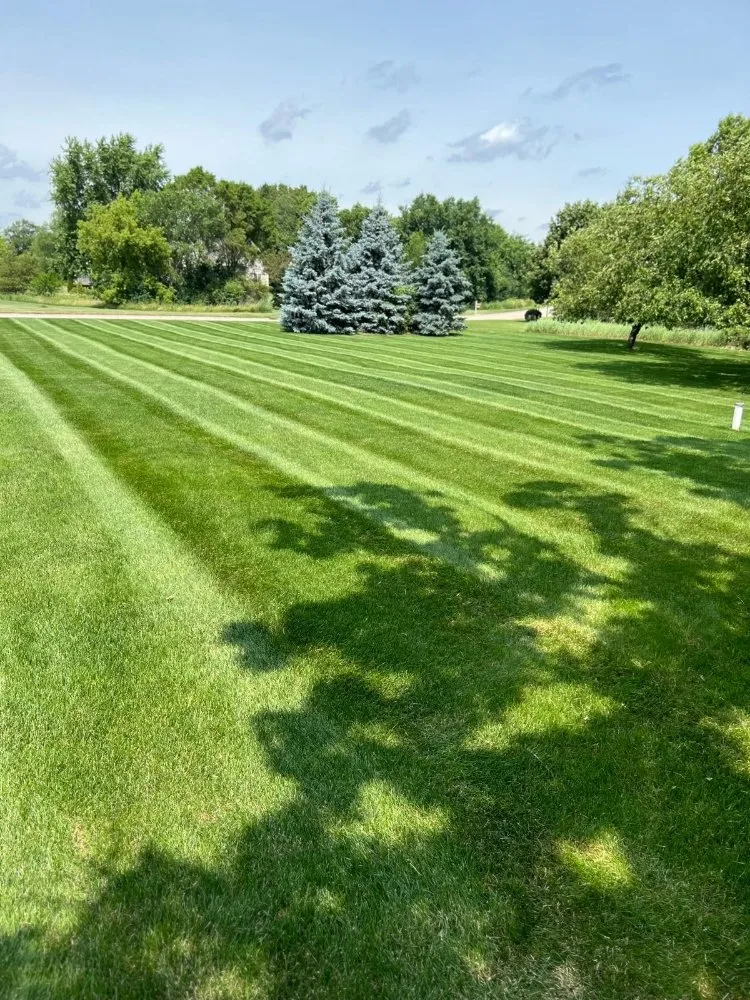 Trusted yard maintenance in Waukesha, WI by Greenspace landscaping