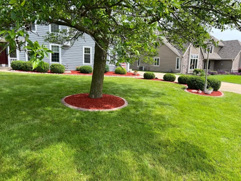 Custom yard maintenance for outdoor upgrades in Waukesha, WI by Greenspace landscaping