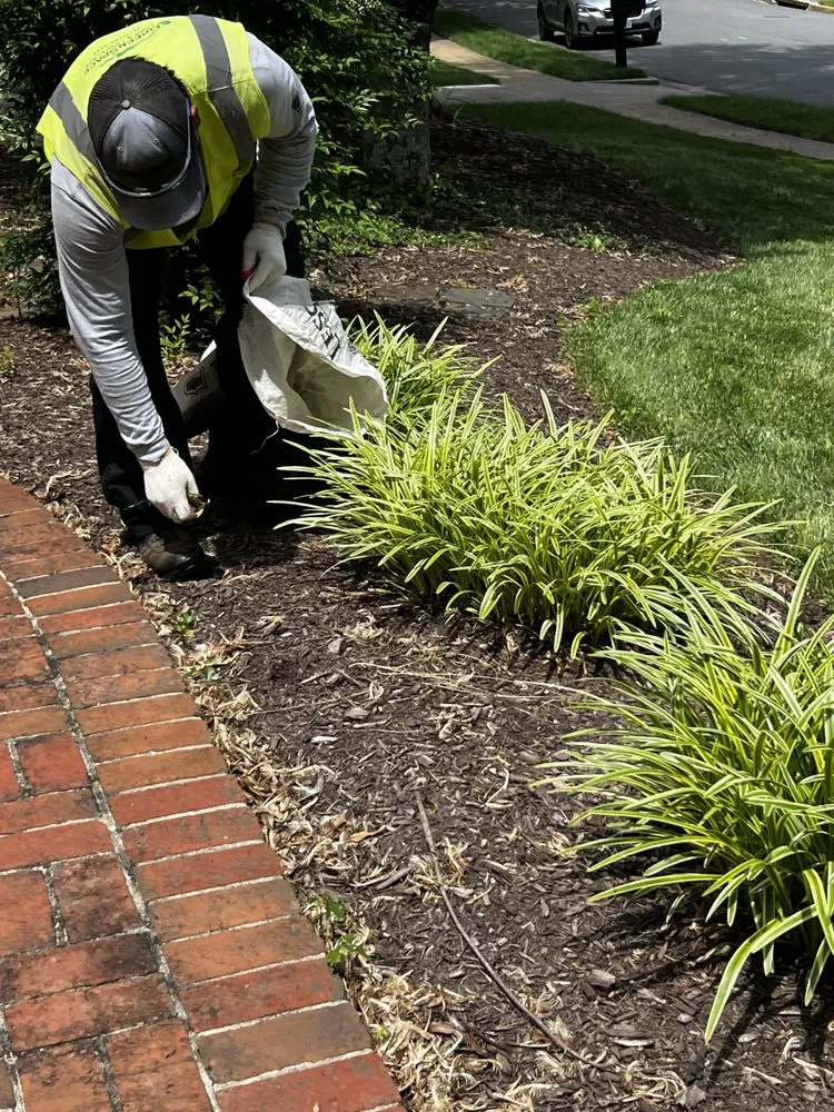 Professional landscaping services in Manassas, VA - GreenSpace Lawn and Landscape