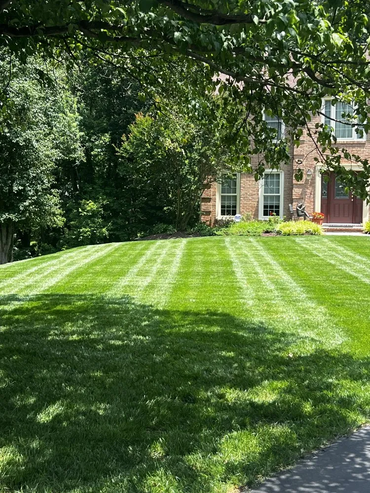 Top-rated garden landscaping experts serving Manassas, VA - GreenSpace Lawn and Landscape