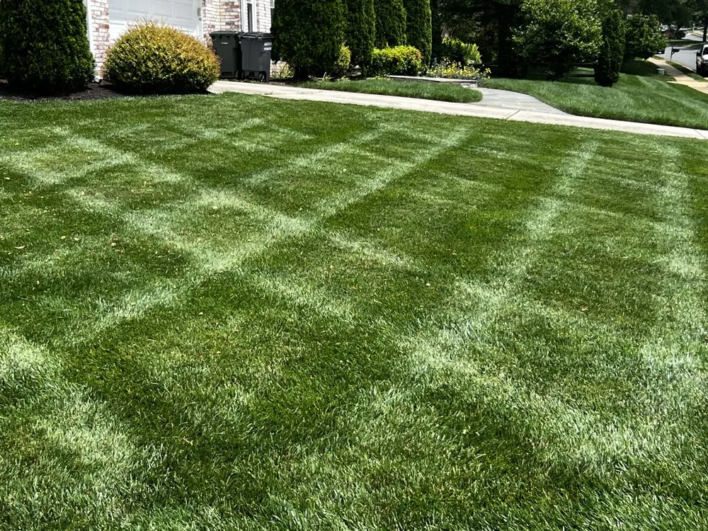 Affordable yard cleanup service in Manassas, VA - GreenSpace Lawn and Landscape