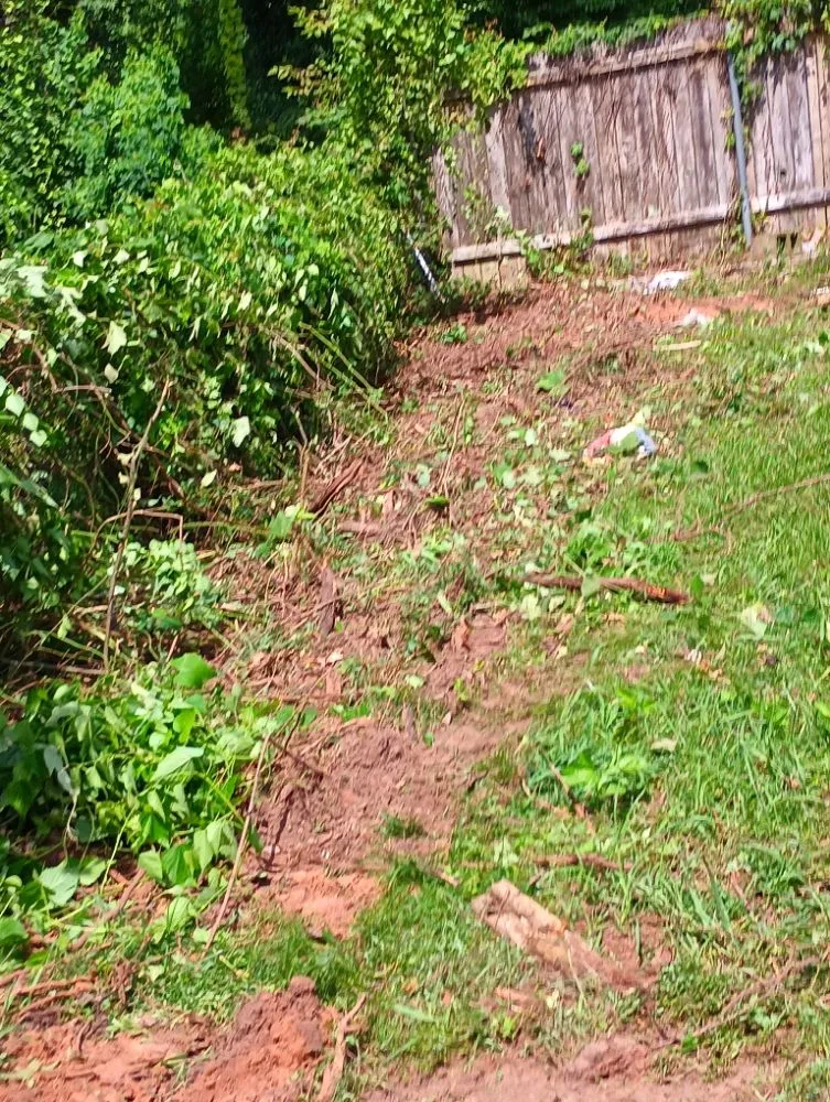 Top-rated yard cleanup service experts serving Ball, LA - Greenspace Lawn Care and Home Maintenance