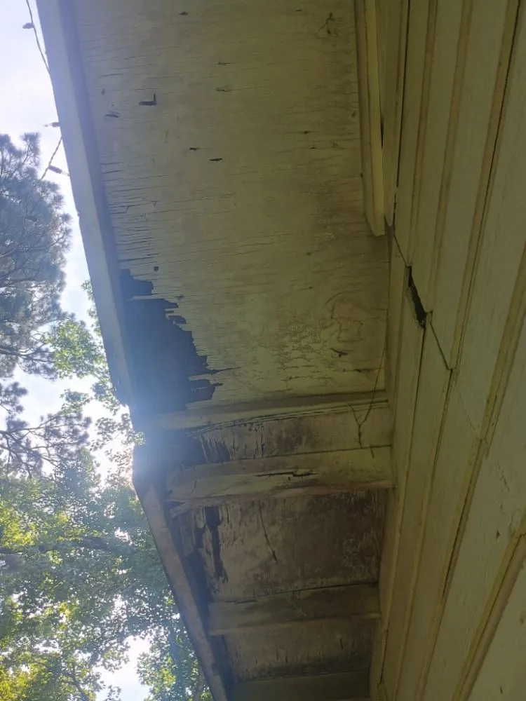 Professional yard maintenance in Ball, LA - Greenspace Lawn Care and Home Maintenance