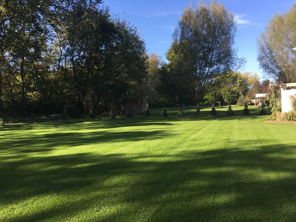 Trusted yard cleanup service for beautiful yards across Galveston, IN - GreenSpace Partners