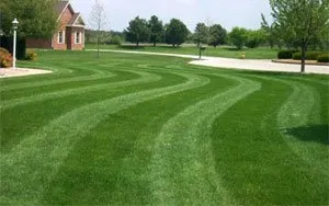 Local yard cleanup service for residential properties across Galveston, IN - GreenSpace Partners