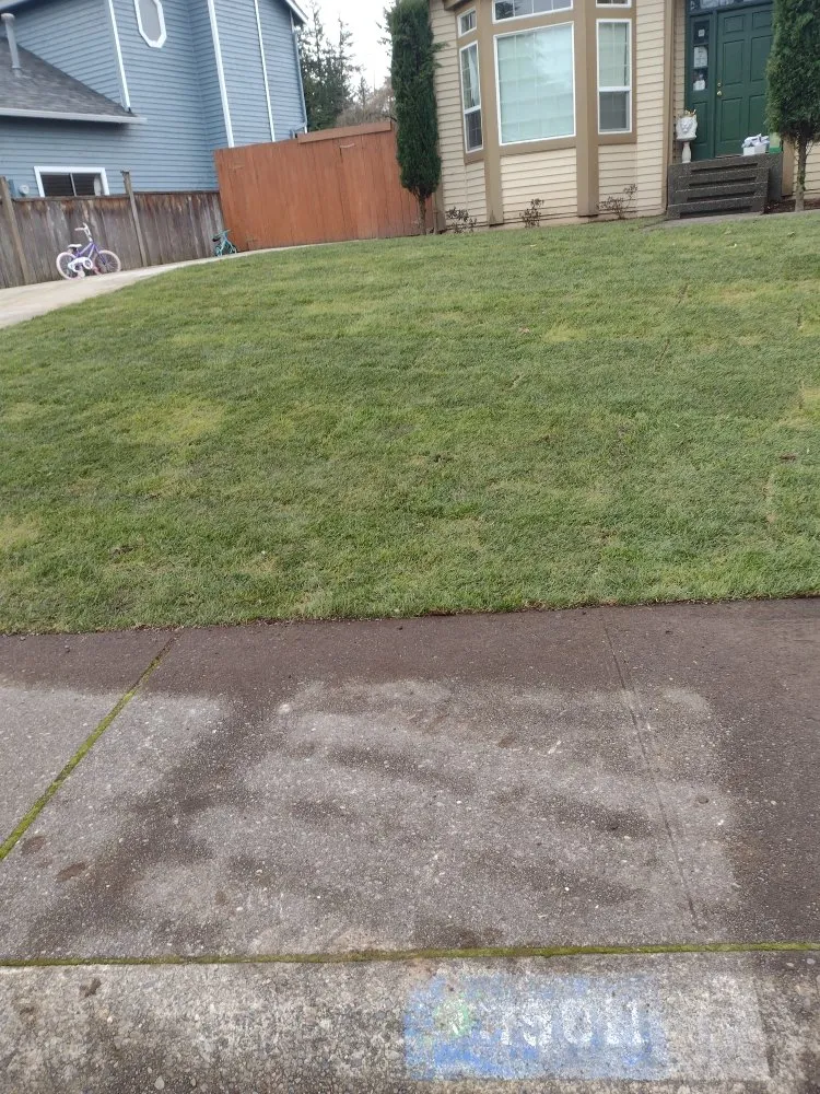 Reliable residential landscaping experts serving Kent, WA - Greenspaces Landscaping Services