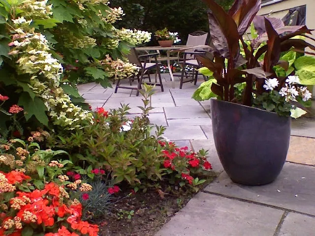 Expert yard cleanup service in Newton, MA by Greenspan Landscaping