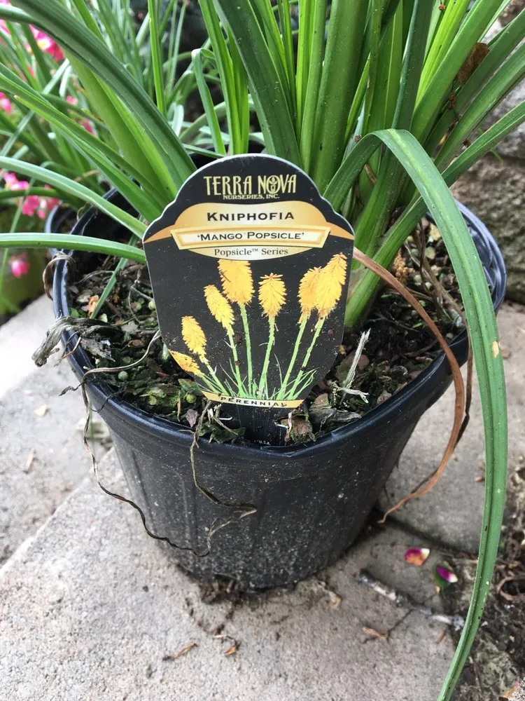 Top-rated lawn care service for beautiful yards across Jarrettsville, MD - Greenspring Nursery and Stone