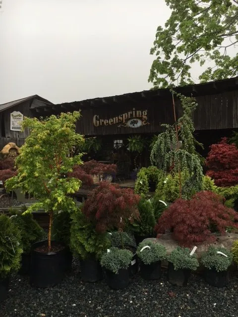 Top-rated landscape installation near you across Jarrettsville, MD - Greenspring Nursery and Stone