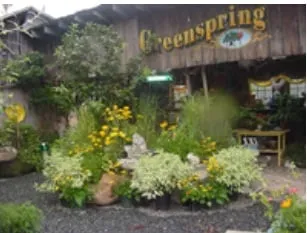 Affordable residential landscaping for outdoor upgrades across Jarrettsville, MD - Greenspring Nursery and Stone