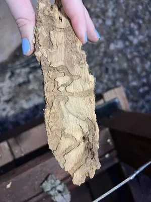 Greenspruce Maintenance Logo