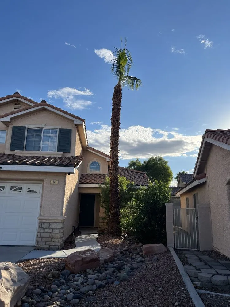 Custom landscape installation experts serving Las Vegas, NV - Greenstage Service Landscaping