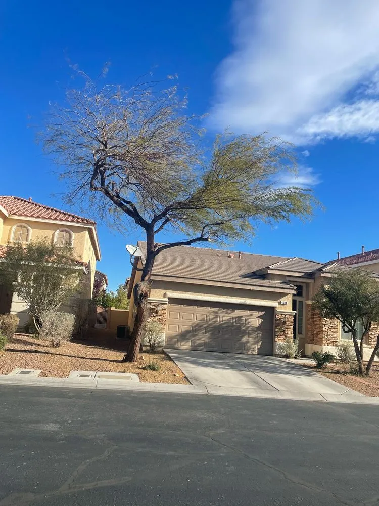 Expert residential landscaping in Las Vegas, NV - Greenstage Service Landscaping