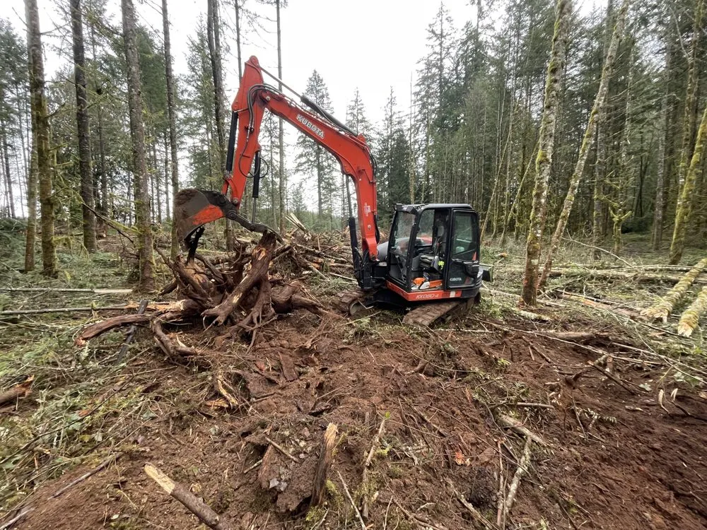 Top-rated landscape installation experts serving Vancouver, WA - GreenStar GroundWorks