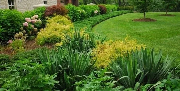 Trusted landscape installation in Carmichael, CA by Greenstar Landscape Management