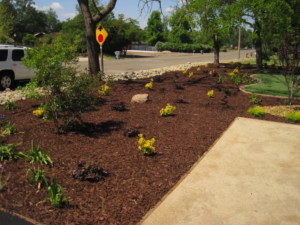 Top-rated yard maintenance in Carmichael, CA by Greenstar Landscape Management