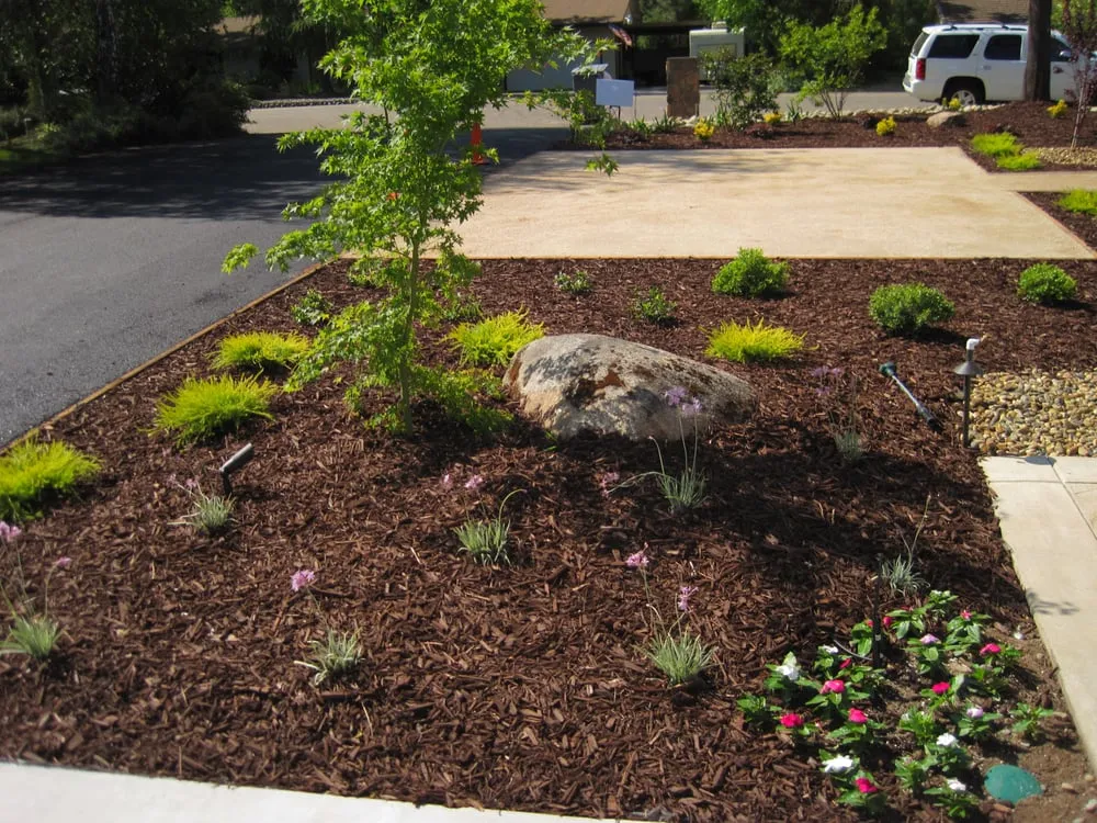 Reliable lawn mowing service in Carmichael, CA - Greenstar Landscape Management