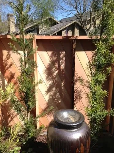 Custom landscaping services in Carmichael, CA by Greenstar Landscape Management
