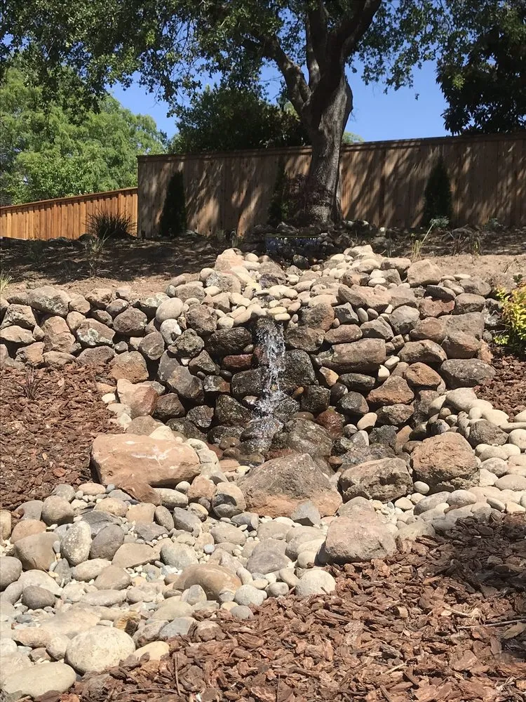 Local yard maintenance for beautiful yards across Carmichael, CA - Greenstar Landscape Management